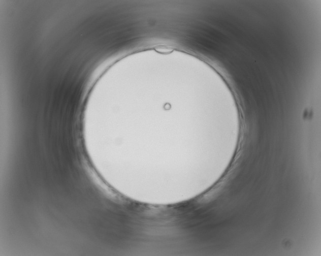 X0000113211056200910221058