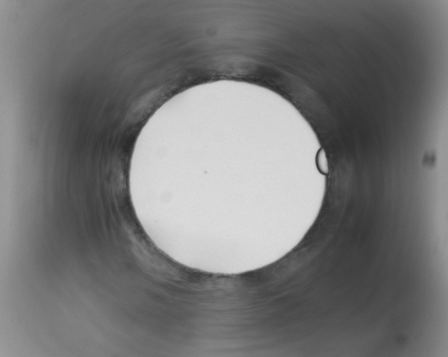 X0000113211058200910221057