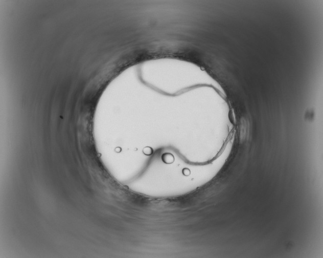 X0000113211059200910221057