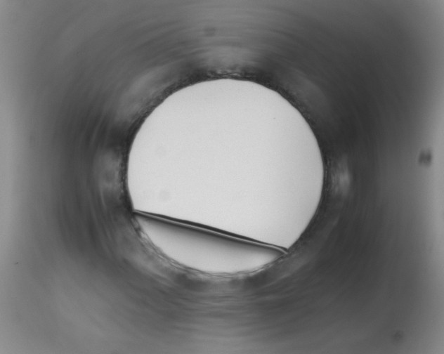 X0000113211060200910221057