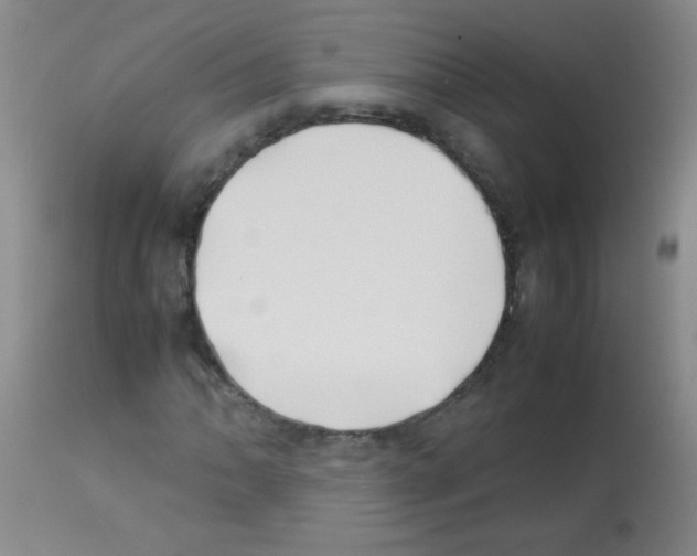 X0000113211062200910221057