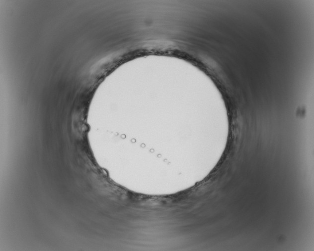 X0000113211063200910221057