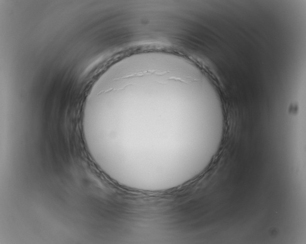 X0000113211064200910221057