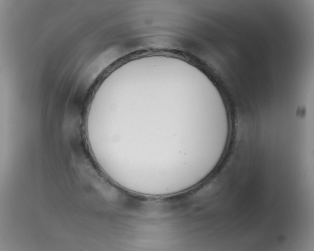 X0000113211065200910221057