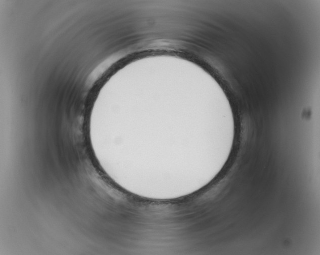 X0000113211066200910221057