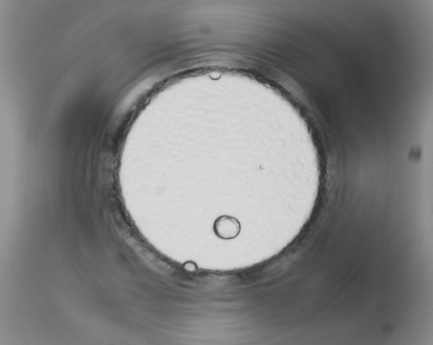 X0000113211067200910221057