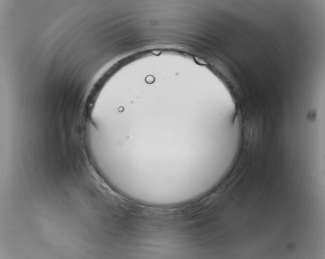 X0000113211068200910221057