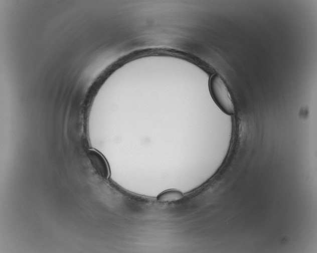 X0000113211069200910221057