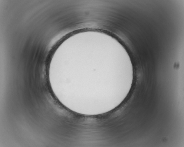 X0000113211070200910221057