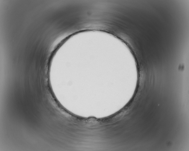 X0000113211071200910221057