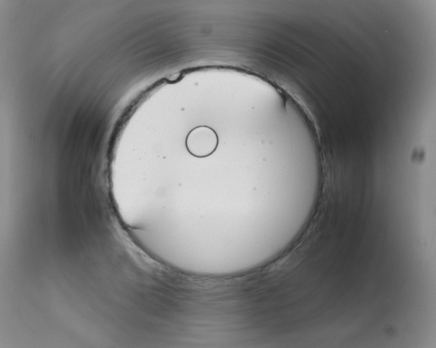 X0000113211072200910221057