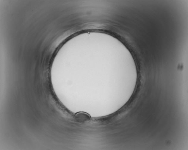 X0000113211073200910221057