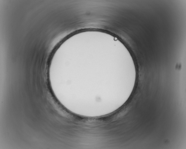 X0000113211077200910221057