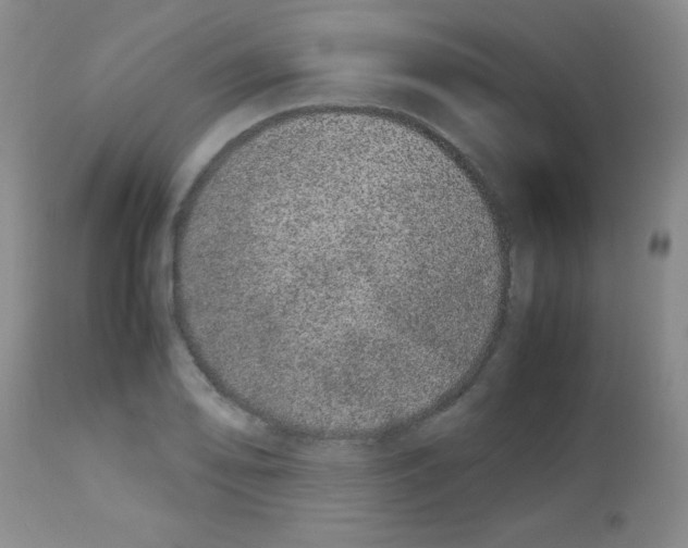 X0000113211078200910221057