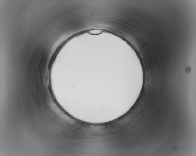 X0000113211080200910221057