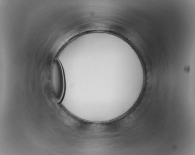 X0000113211081200910221057