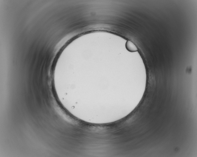 X0000113211082200910221057