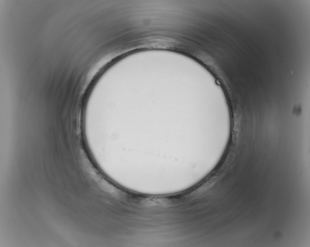 X0000113211083200910221057