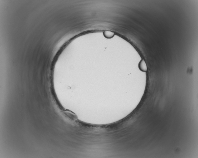 X0000113211085200910221057