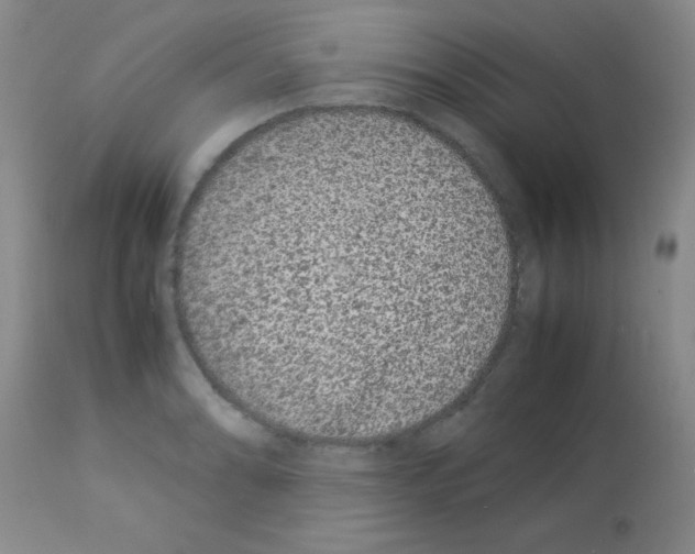 X0000113211086200910221057