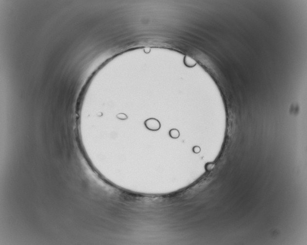 X0000113211087200910221057