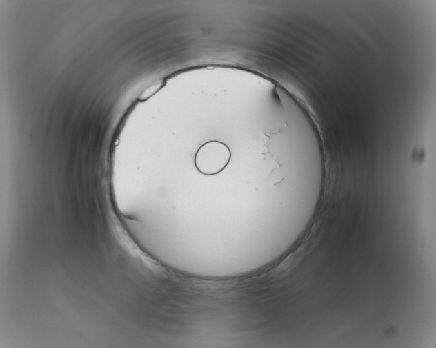 X0000113211088200910221057