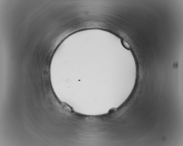 X0000113211089200910221057