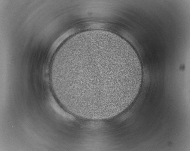 X0000113211090200910221057