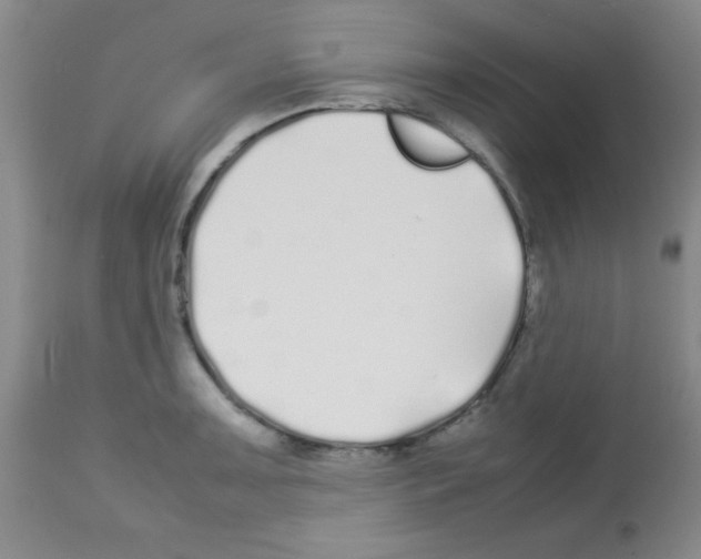 X0000113211091200910221057