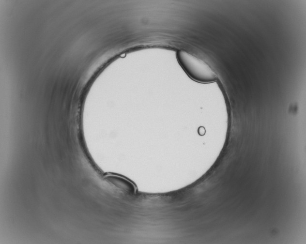 X0000113211093200910221057