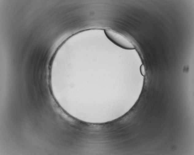 X0000113211096200910221057