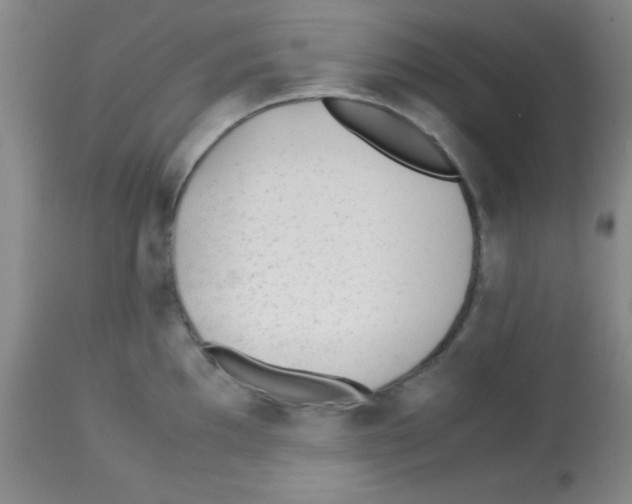 X0000113211097200910221057