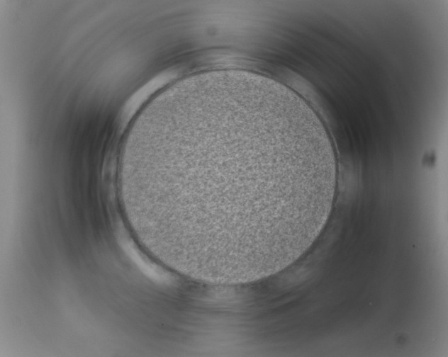 X0000113211098200910221057