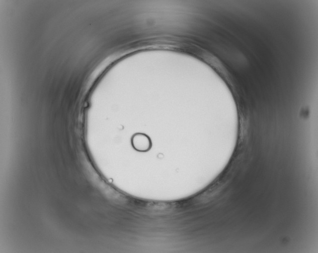 X0000113211099200910221057