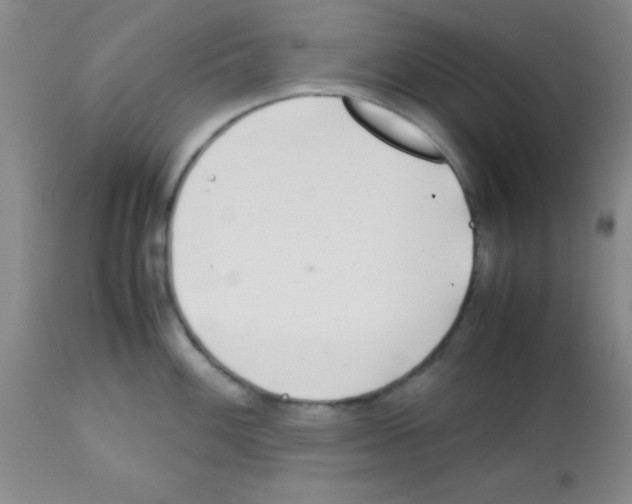 X0000113211100200910221057