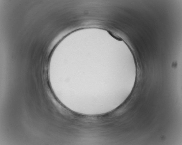 X0000113211101200910221057