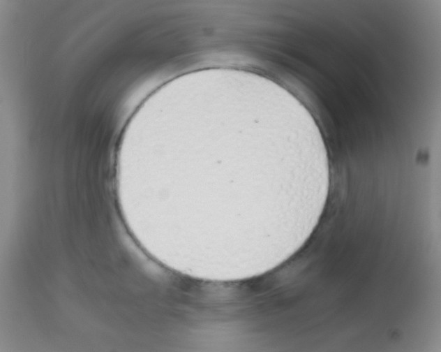 X0000113211103200910221057