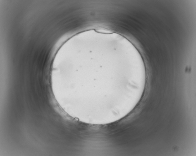 X0000113211104200910221057