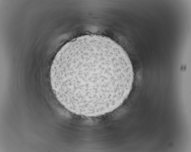 X0000113211105200910221056