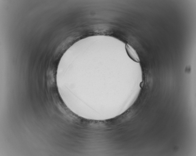 X0000113211106200910221056