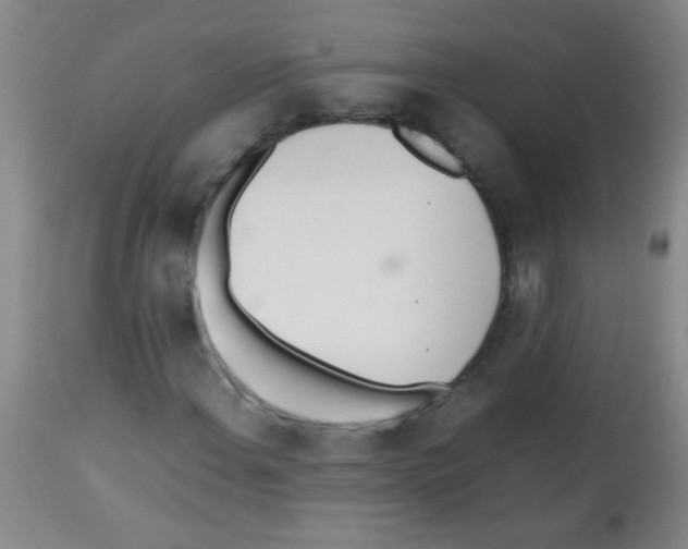 X0000113211108200910221056