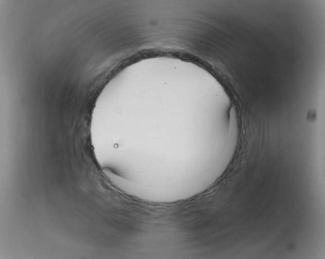 X0000113211110200910221056