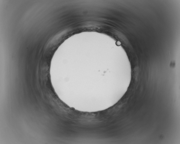 X0000113211111200910221056