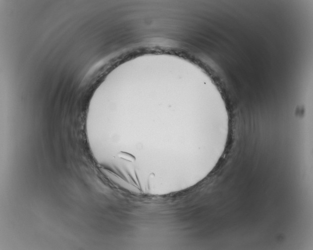 X0000113211112200910221056