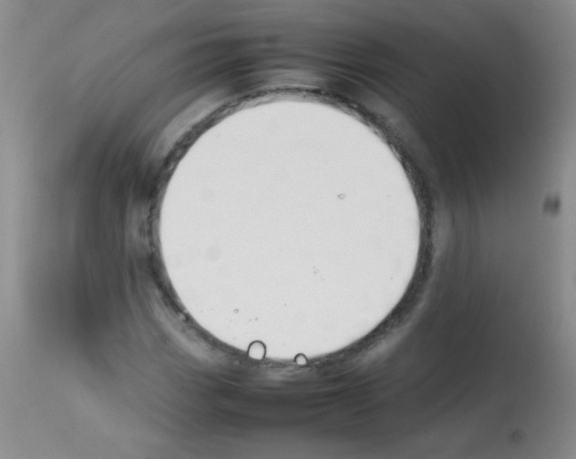 X0000113211113200910221056