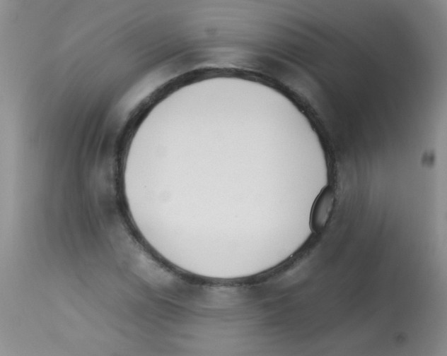 X0000113211114200910221056