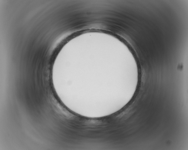 X0000113211115200910221056