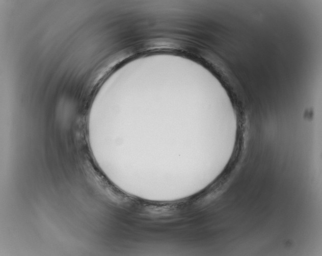 X0000113211121200910221056