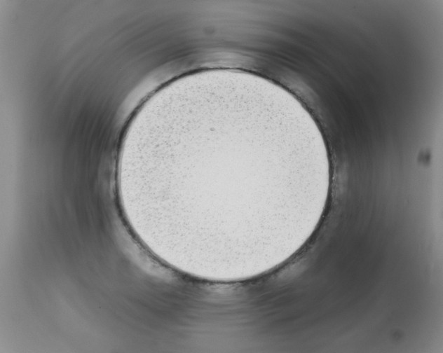 X0000113211130200910221056