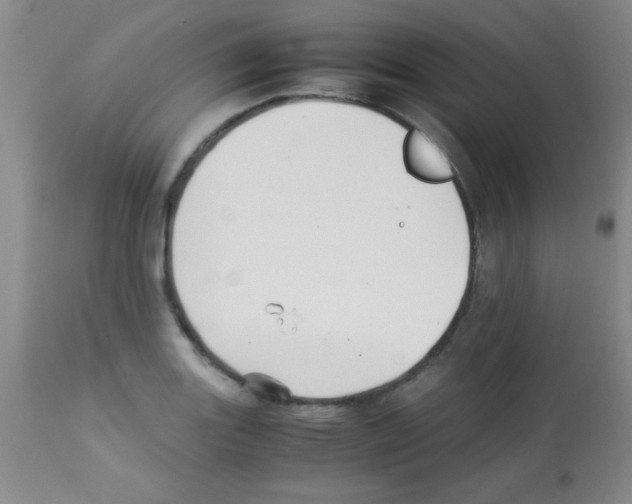 X0000113211131200910221056